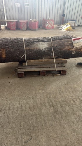 Wood log for sale - wood,