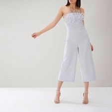 Coast Aribella  Feather Detail