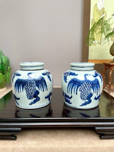 Pair blue white ginger jars - white,