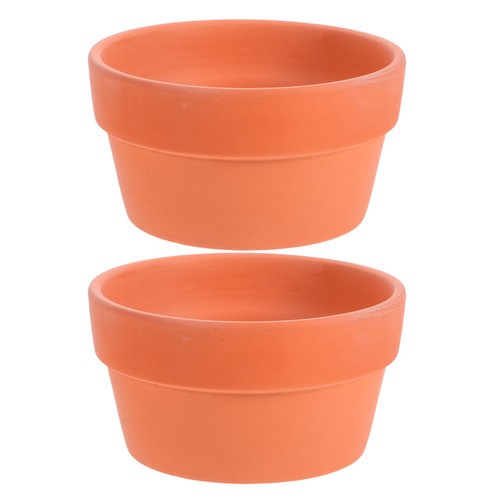 2pcs orange terracotta cactus - terracotta,