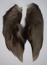 Select Complete set of Bronze