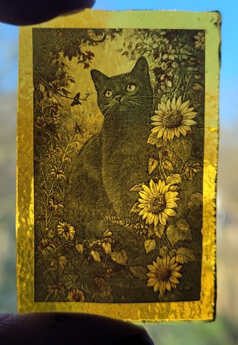 Stained glass black - glass, cat