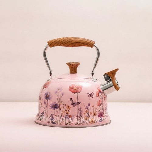 Tea kettle stainless steel - kettle,