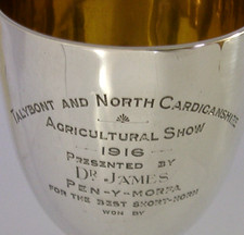 LARGE STERLING SILVER TROPHY