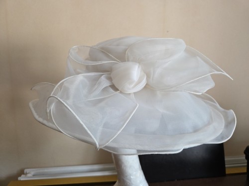 Lovely ivory organza church - ,