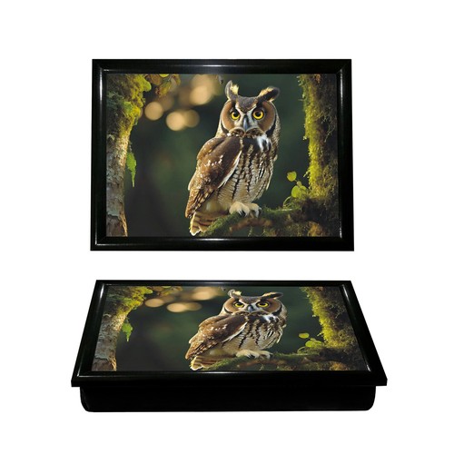 Owl large wooden soft padded - wooden,