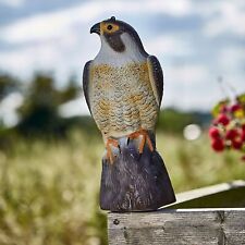 Large Falcon Bird Deterrent Scarer Bird Of Prey Lawn Garden Pest Protection 35cm