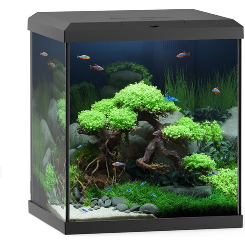 Juwel vio cube - cube, 54l