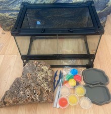 Reptile /invertebrate Glass