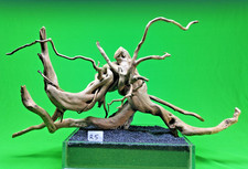 Red Moor Wood (No R5)