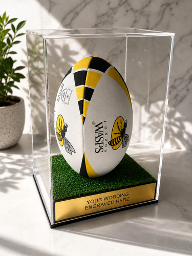 Rugby ball display case - rugby,