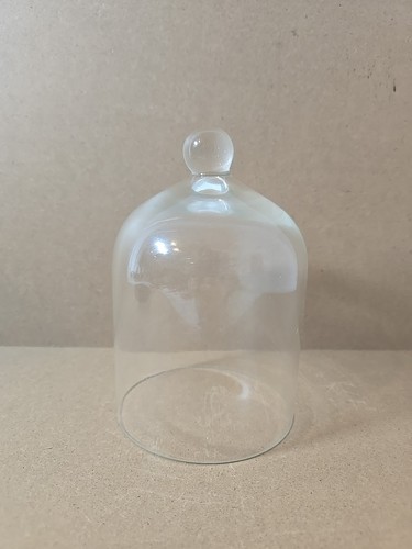 Bell dome glass - glass, cloche