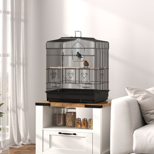 Bird cage for budgie with - bird,