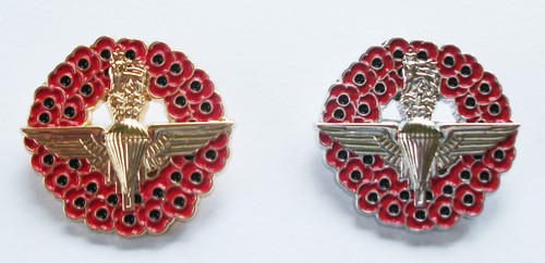 Parachute regiment wings - parachute,