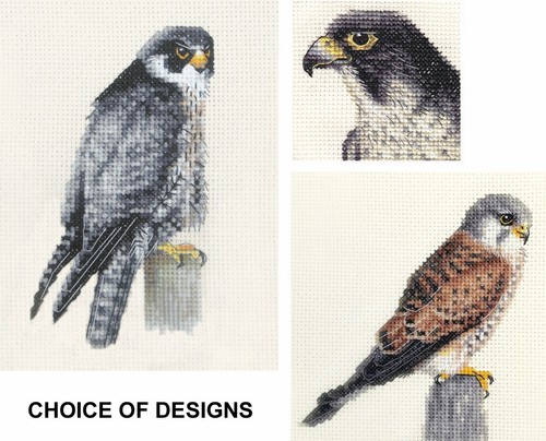 Peregrine falcon kestrel full - peregrine,