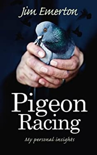 Pigeon racing my - pigeon,