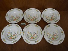 6 x 20 cm or 8 inch Soup /