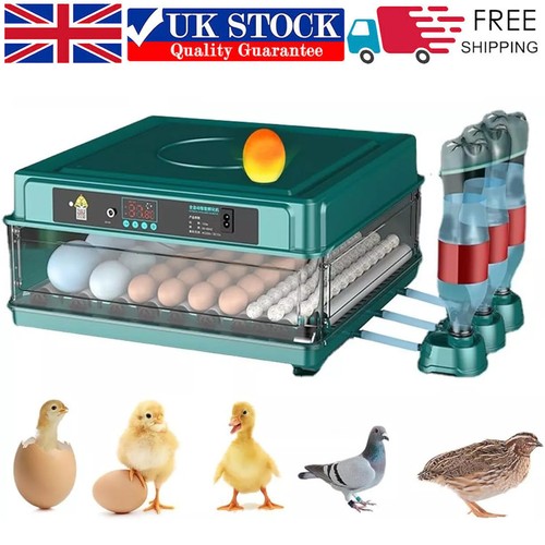 Egg incubator hatching machine - egg,