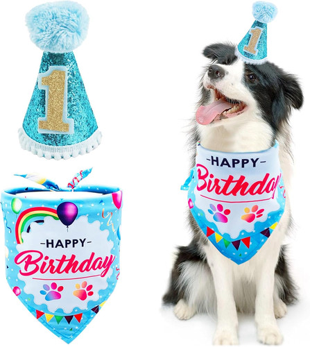 Dog 1st birthday hat - birthday, bandana