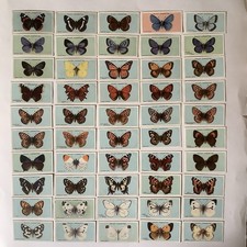 Set 50 British Butterflies W D