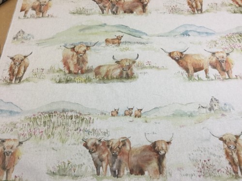 Voyage maison highland cattle - highland,