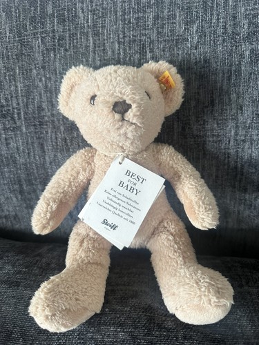 First steiff w040 teddy - first,