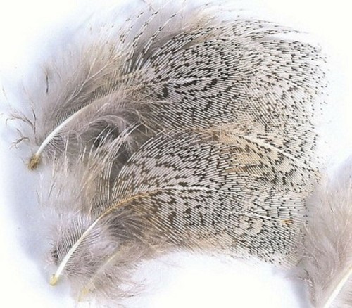 Grey neck hackles from english - neck,