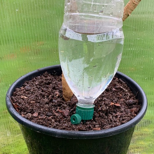Watering spikes for - spikes,