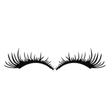  3 Pairs Eye Lashes for Car