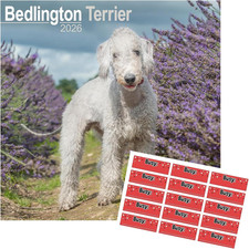 Bedlington Terrier Calendar