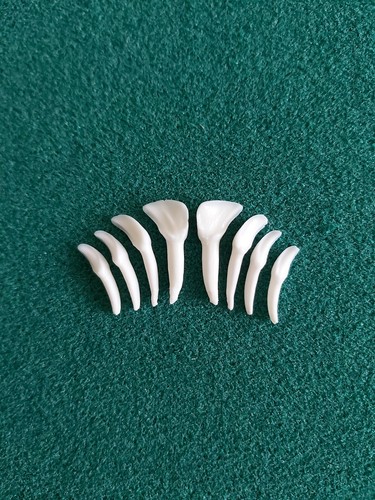 Fallow deer teeth gothic arts - deer,