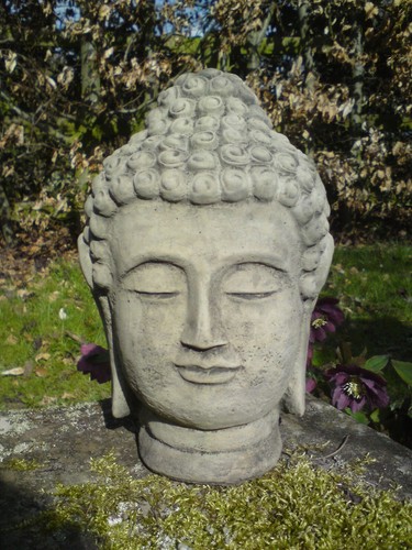 Stone garden zen lotus - zen, buddha