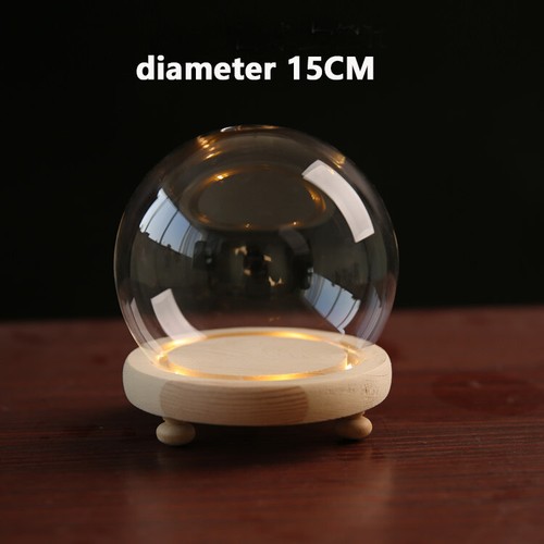Glass dome display - dome,