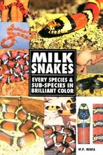 Milk Snakes