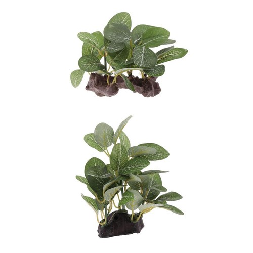 Terrarium decor ornament - terrarium,