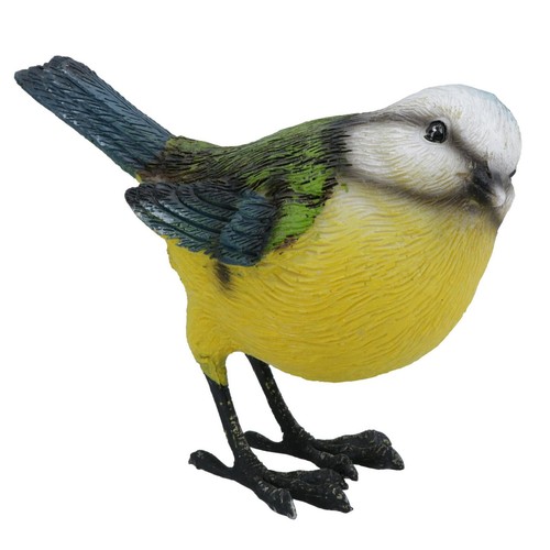 Blue tit garden - tit,