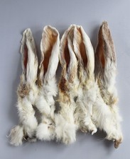 1Kg Rabbit Ears with Furr for