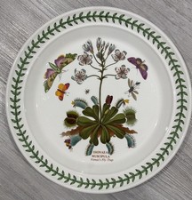 PORTMEIRION BOTANIC GARDEN