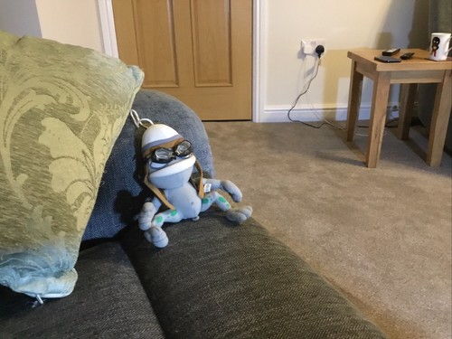 Crazy frog annoying thing - frog,