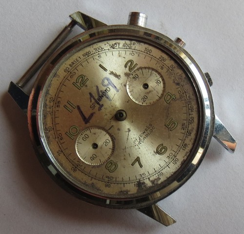 Splendid chronograph mens