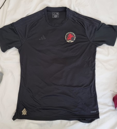 Aston villa 2024 150th - aston,