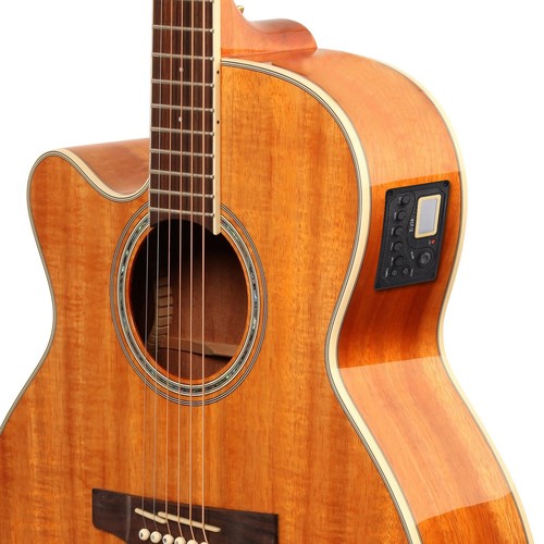 Acoustic guitar pickup folk - guitar,