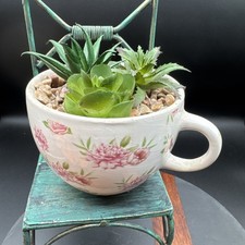Mini Ceramic Teacup Planter