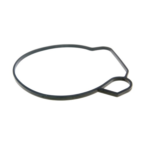 Gasket float chamber - float,