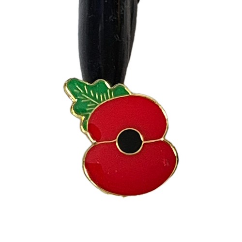 Undated poppy remembrance - poppy¹,