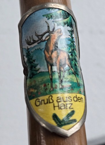 Antique alpine hiking stick - hiking,