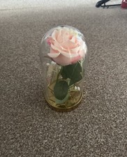 Ikea glass display with rose