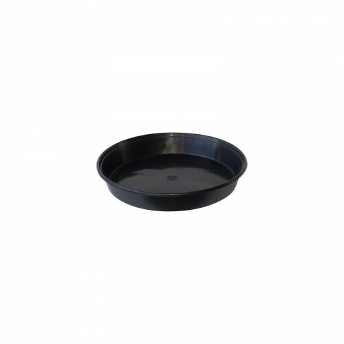 Black round plastic - round, plant
