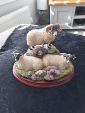 Border Fine Arts B1274 Blackie