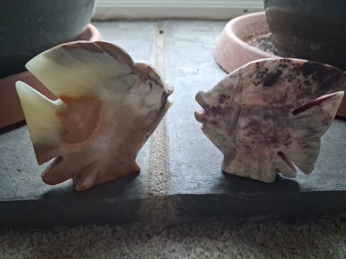 Pair onyx angel fish - of,